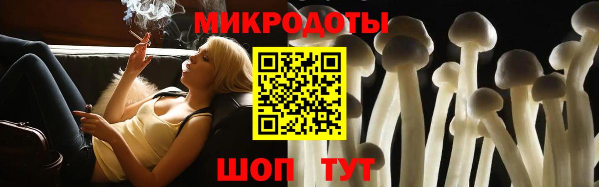 Псилоцибиновые грибы Psilocybe Жигулёвск